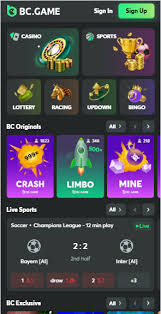 The Ultimate Guide to BC.Game A Leading Crypto Casino 2125076003